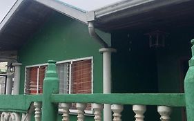 The Green House